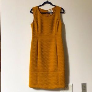 Tabitha by Anthropologie Size 12 Mustard Yellow Stretch Knit Dress